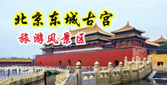 羞羞色色视频免费中国北京-东城古宫旅游风景区